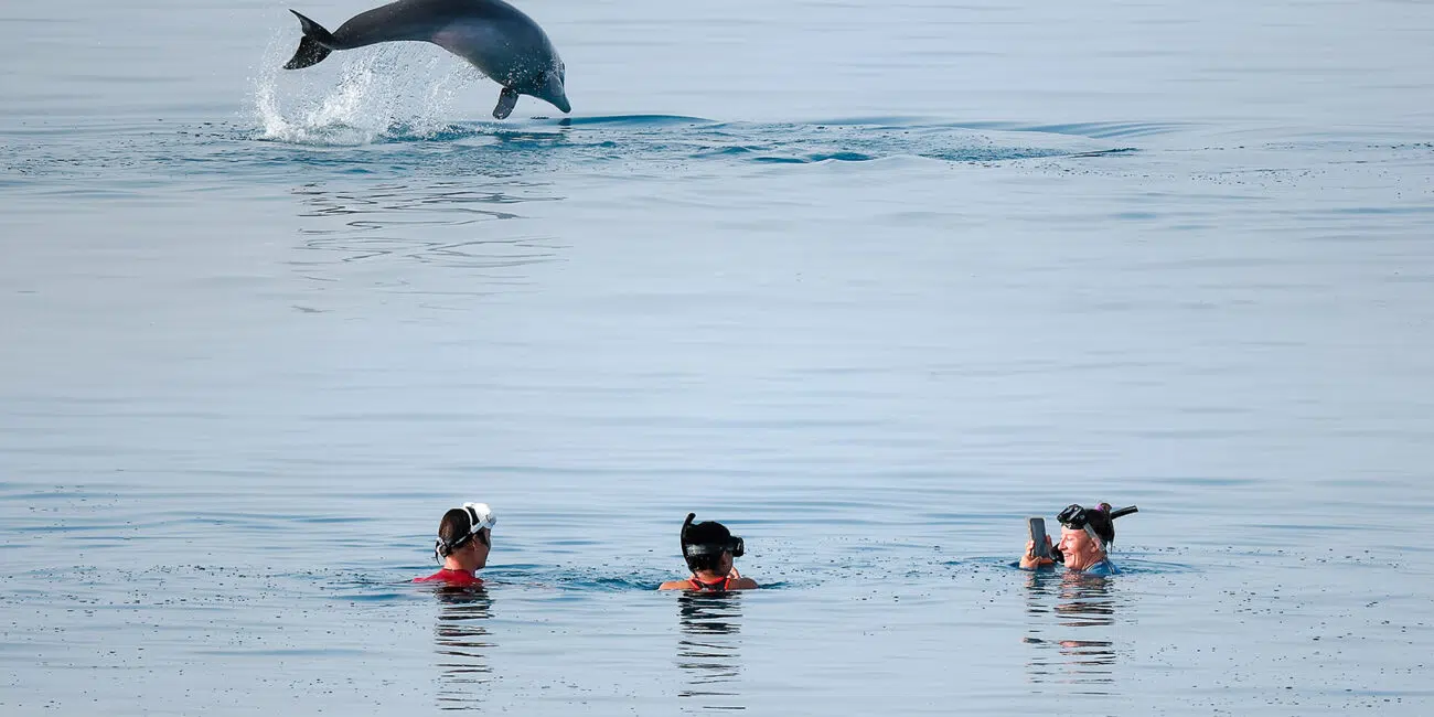 Trzy osoby oglądają skok delfina ze spokojnego morza pod czystym niebem, ciesząc się niezapomnianą przygodą na kitesurfingowym safari.