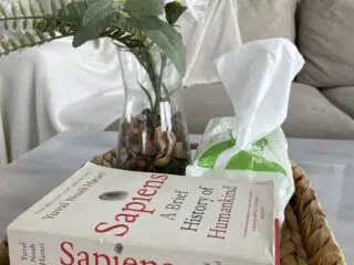 Kosz na stole z książkami Sapiens, chusteczkami i kwiatami - idealne miejsce do planowania wyjazdu na wakacje z kitesurfingiem.