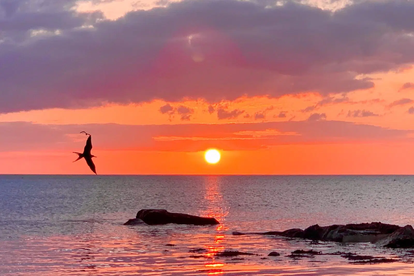 WhatsApp Image 2020-12-23 at 12.39.05 (1) wyjazdy do meksyku