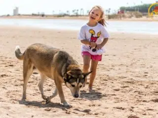 Uśmiechnięta dziewczynka biegnąca po plaży w El Gouna, z psem, morzem i kite spotem w tle. Wyjazdy kitesurfingowe z KiteAway.