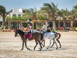 Trzy osoby w kaskach jadą konno po plaży El Gouna, znanej z wyjazdów kitesurfingowych KiteAway i kursów kitesurfingu.