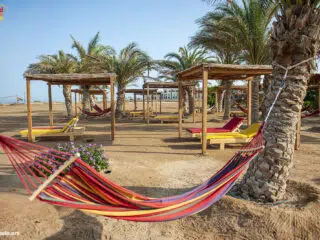 Kolorowe hamaki i żółte leżaki pod pergolami na plaży w El Gouna - idealny relaks po kite campie z KiteAway, kitesurfing Egipt.