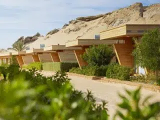 Nowoczesne domki drewniane wśród zieleni na wydmach - idealna baza KiteAway na wyjazdy kitesurfingowe i kite camp pod błękitnym niebem.