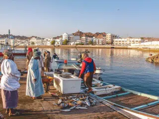 Rybacy na drewnianym pomoście sortują ryby przy łódkach, port wśród białych domów i wzgórz - tu startuje kite trip KiteAway.