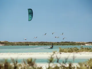 Kitesurfer na turkusowej wodzie pod błękitnym niebem; ptaki i zieleń na brzegu - idealny kite spot z KiteAway.pl.
