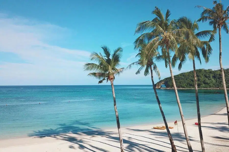 Palmy przy białej plaży i turkusowym morzu-idealny kite spot na wyjazdy kitesurfingowe KiteAway i kurs kitesurfingu. Palmy przy białej plaży i turkusowym morzu-idealny kite spot na wyjazdy kitesurfingowe KiteAway i kurs kitesurfingu.