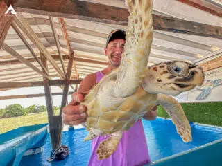 Uśmiechnięty mężczyzna w fioletowej koszulce trzyma żółwia w plenerze, w tle słońce i zieleń jak na wyjazdach kitesurfingowych KiteAway.