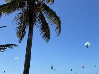 Wysoka palma przy piaszczystej ścieżce, na tle KiteAway kite camp - kitesurferzy na wodzie podczas wyjazdu kitesurfingowego.