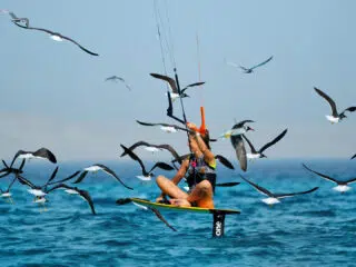 Kitesurfer na oceanie wśród ptaków, słoneczny dzień na KiteAway kite camp - wyjazdy kitesurfingowe, szkolenie kite.