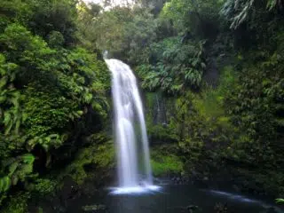 Wysoki wodospad otoczony zielenią - idealne miejsce na relaks po kursie kitesurfingu z KiteAway podczas kite campu.