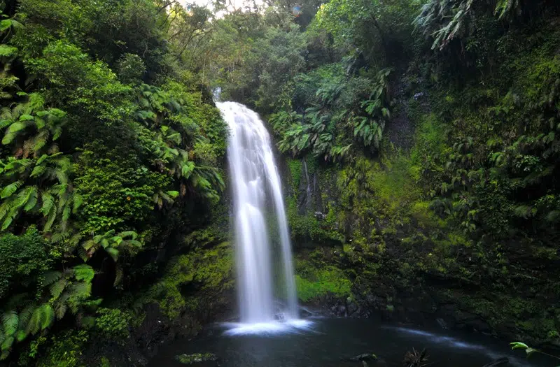 Wysoki wodospad otoczony zielenią - idealne miejsce na relaks po kursie kitesurfingu z KiteAway podczas kite campu.