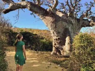 Kobieta w zielonej sukience na piaszczystej ścieżce pod baobabem podczas kite trip KiteAway - Twoje wakacje z kitesurfingiem.