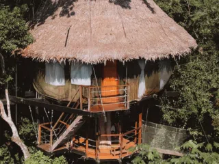 Okrągły domek na drzewie KiteAway wśród zieleni, idealny na relaks po kursie kitesurfingu lub intensywnym kite campie.