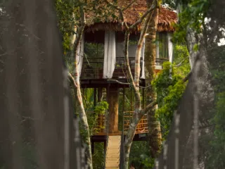 Wąski mostek wśród zieleni prowadzi do drewnianego domku w koronach drzew - klimatyczne miejsce na relaks po kite camp KiteAway.