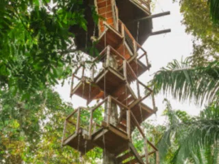 Drewniany domek na drzewie z werandami i schodami wśród zieleni - idealna baza KiteAway na wakacje z kitesurfingiem.