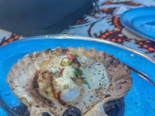 Grillowana muszla świętego Jakuba na niebieskim talerzu - kulinarna podróż KiteAway podczas wyjazdu kitesurfingowego.
