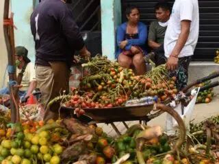 Targ z ludźmi pod kolorową parasolką, w tle dwie osoby rozmawiają o wyjeździe na kite camp z KiteAway lub wakacjach z kitesurfingiem.