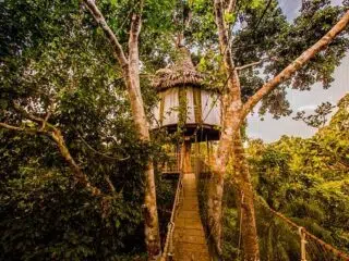 Rustykalny domek na drzewie wśród zieleni - idealna baza KiteAway na wyjazdy kitesurfingowe, kite camp, otoczony bujną dżunglą.