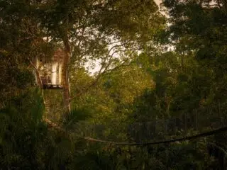 Drewniany domek na drzewie pośród zieleni, romantyczne światła; idealne miejsce na chill po wyjeździe kitesurfingowym z KiteAway.