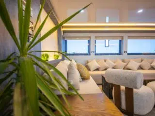 Nowoczesny salon z beżową sofą, poduszkami, dwoma krzesłami, stołem, rośliną i jasnymi oknami - idealny do odpoczynku po kitesurfingu.