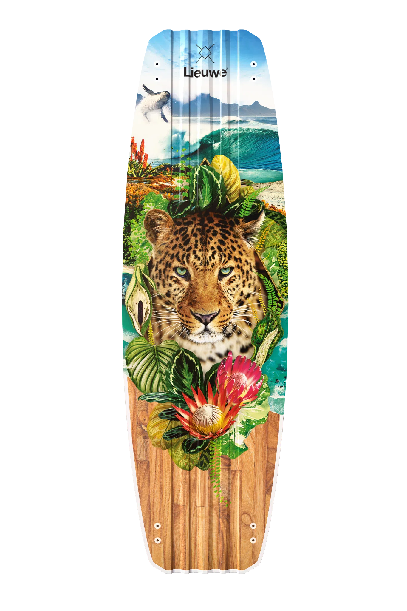 Shotgun Cape Town - Paradise Series - obrazek 3